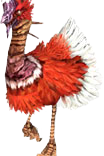 Periton
